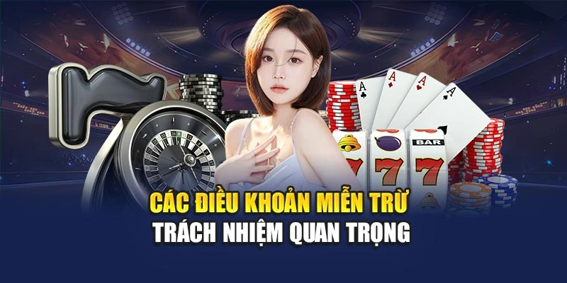 Các điều khoản miễn trừ trách nhiệm quan trọng