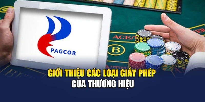 Giới thiệu các loại giấy phép của thương hiệu